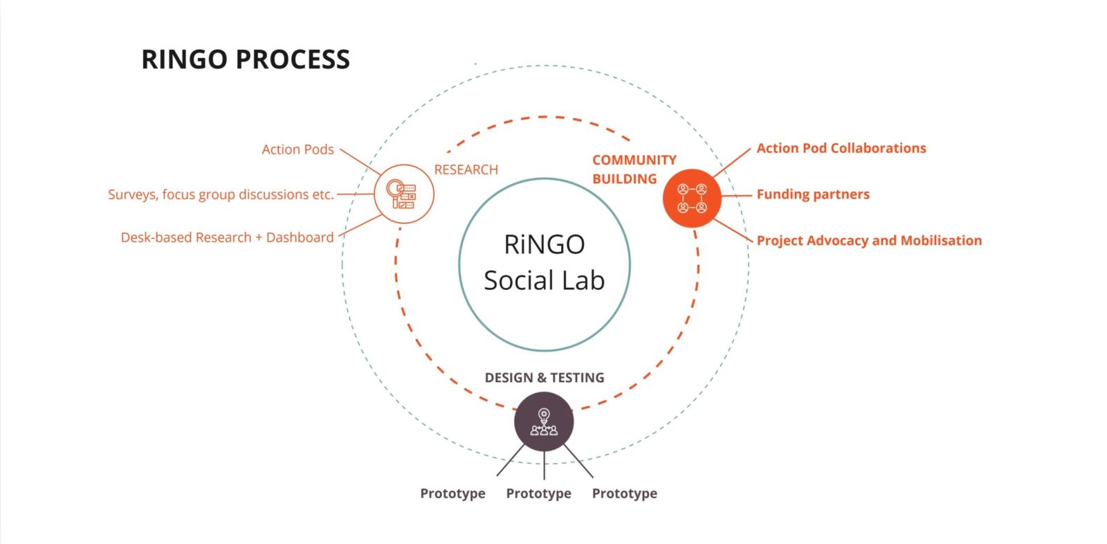 What Is the Social Lab Process?